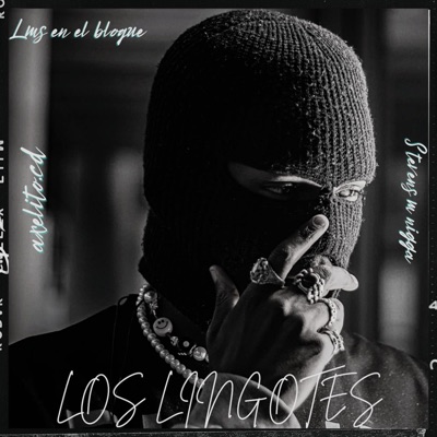 LOS LINGOTES (feat. Stevens M Nigga) - Single