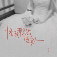 怪我嫁给老实人 - Single - 南乔
