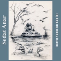 Derviş Yunus Bir Kuş idi - Single - Sedat Anar