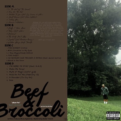 Beef & Broccoli