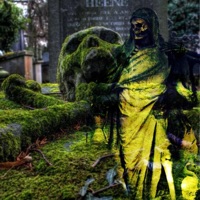 Grass Grows (feat. Bollywood beed) - Single - Wolfgangsan