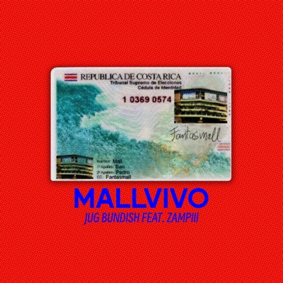MALLVIVO (feat. ZAMPIII) - Single