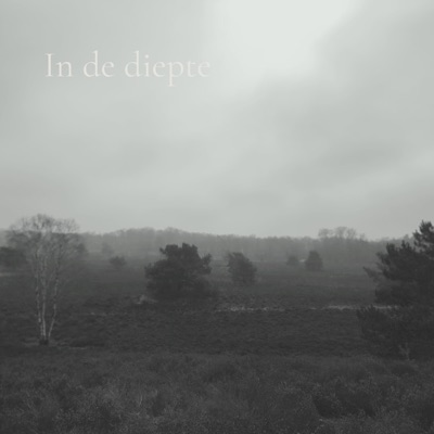 In de diepte (feat. Guerillahbeats) - Single