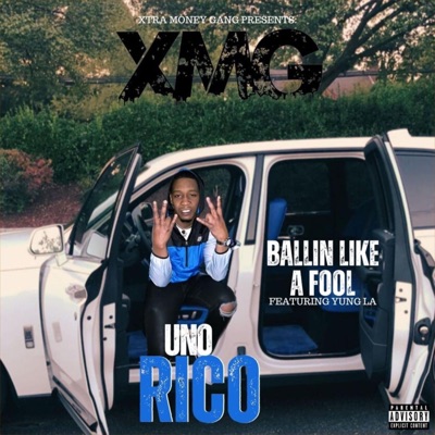 Ballin Like A Fool (feat. Yung LA) - Single