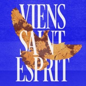 Viens Saint-Esprit (feat. Pauline Betuel, Grégory Turpin, Cassi Kalala Tshimpi, Makéda Pécastaing, Hopen, Fratoun, Ben Luiten, école Pierre, Derek-Jones, Maxime Jean-Louis & La Bénédiction) artwork