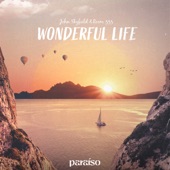 Wonderful Life artwork