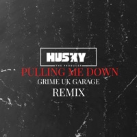 Pulling Me Down - Single - Husky The Producer