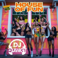 House Of Fun - Single - DJ Quincy