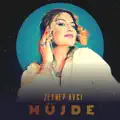 Mujde