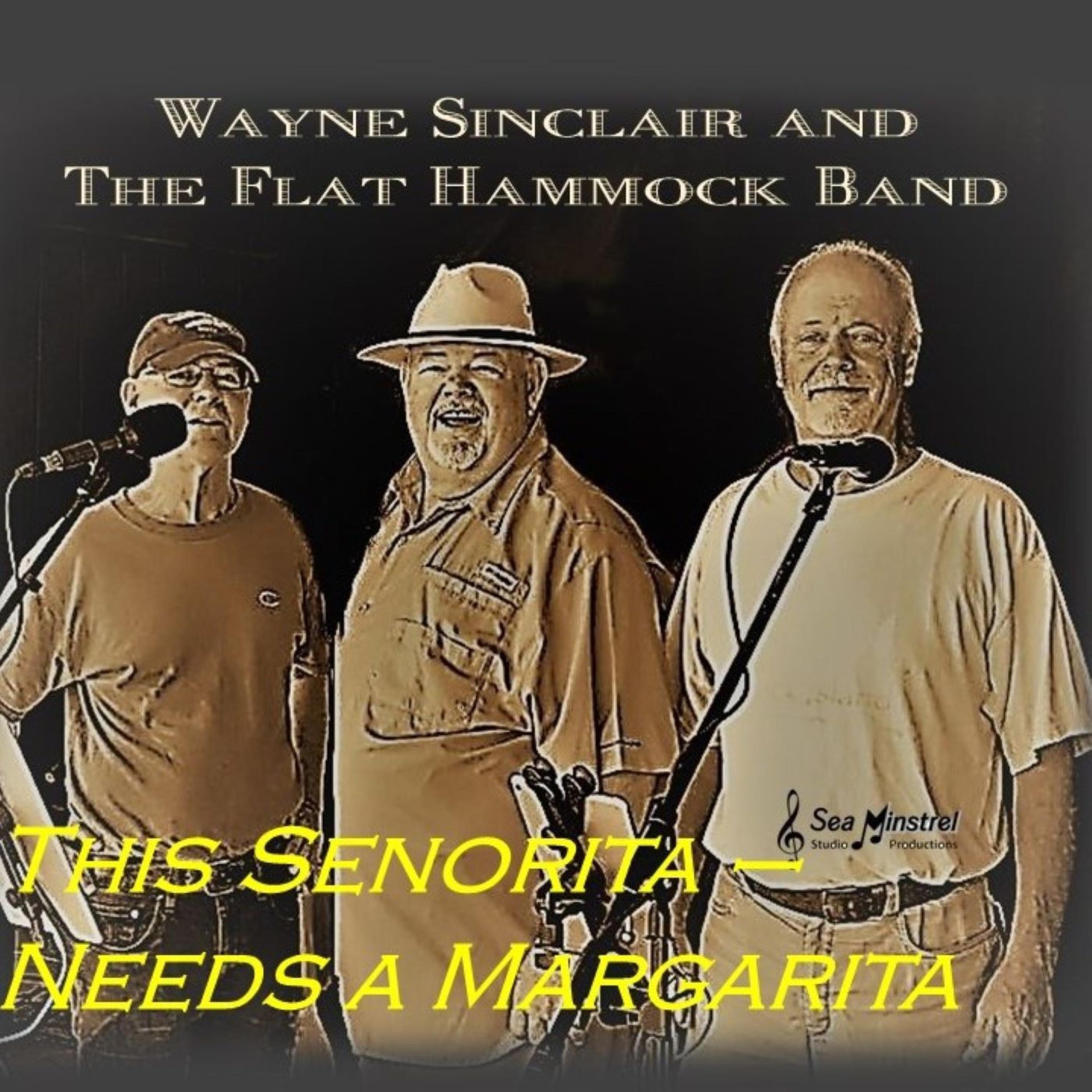 This Senorita Needs a Margarita - Single