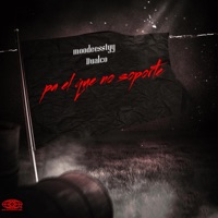 pa el que no soporte - Single - MOODEESSTYY