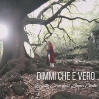 Dimmi che è vero (feat. Sonia Costa) - Single - Brigitte Circo
