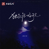 独自淋一场月光 - Single - 林贝贝