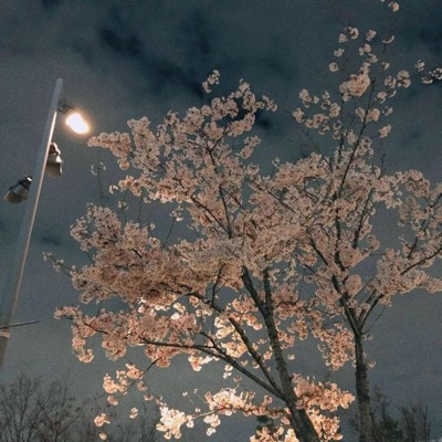 Voces en mi cabeza v2 - Single