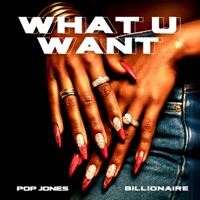 What U Want (feat. Billionaire) - Single - Pop Jones