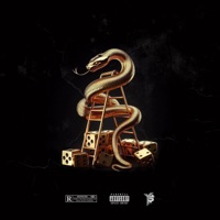 Snakes & Ladders - Solo YS