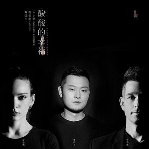 酸酸的幸福 - Single