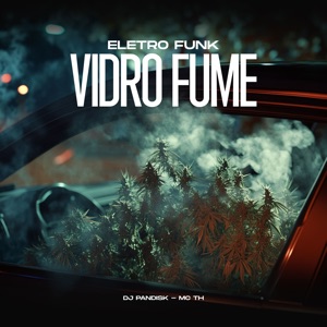 Eletro Funk Vidro Fume