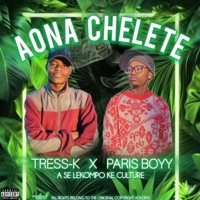 Aona chelete (feat. tress-k) - Single - Paris Boyy