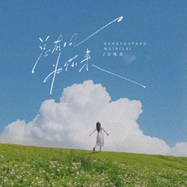 总有风为你来 王佳音