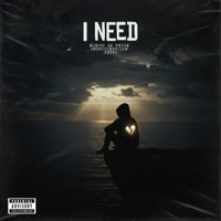 I NEED (feat. Hanzy, PauloReacciona & MAEL B) - Single - Vraizz