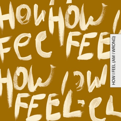 How I Feel (Am I Wrong) artwork