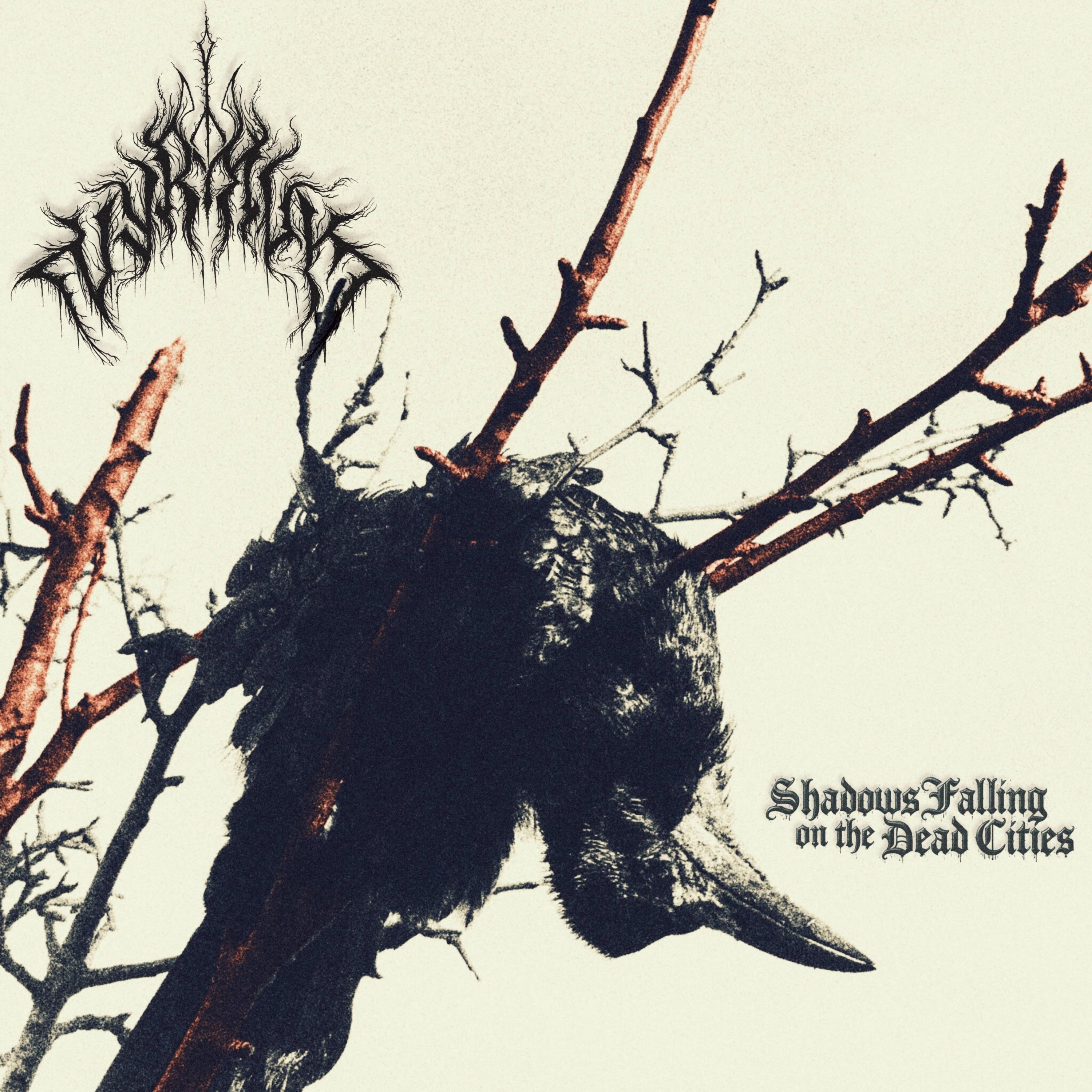 Shadows Falling on the Dead Cities - EP