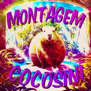 MONTAGEM COCOSINI