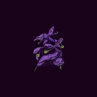 Veneno (feat. ANGEL MUERTX) - Single - Basti