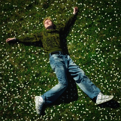 Blut, Schweiß und Asche v2 (feat. Young Perky) - Single