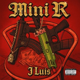 Mini R J Luis