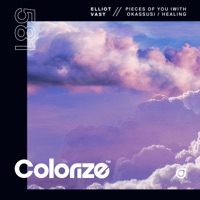 Pieces of You / Healing - Single - Elliot Vast & OKASSUS