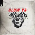 Blow Ya Mind