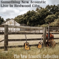 Something New Acoustic: Live in Redwood City - The New Acoustic Collective