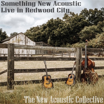 Something New Acoustic: Live in Redwood City