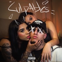 Culpables (feat. Dyanko) - Single - Ben1tez