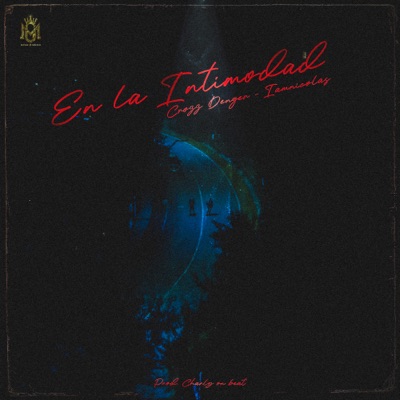 En la Intimidad - Single