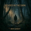 Echoes In The Dark