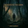 Echoes in the dark