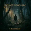 Echoes in the dark