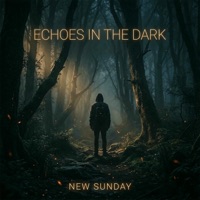 Echoes In The Dark