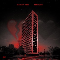 Kraaiennesten - Single - Bailey KBC & MeoKidd