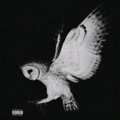 2.8 (Pressure Insane) - Single