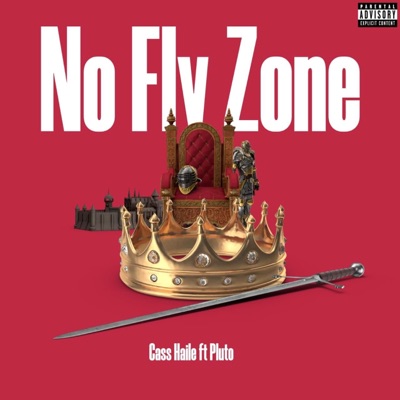 No Fly Zone - Single