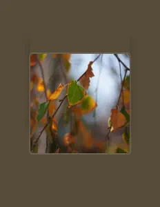 Listen to CASTOR, watch music videos, read bio, see tour dates & more!