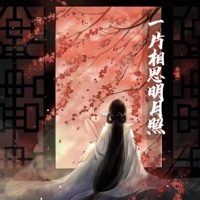 一片相思明月照 - Single - 辛雯
