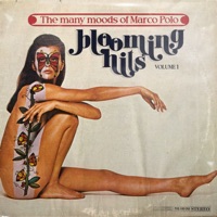 The Many Moods of Marco Polo Vol. 1 - Marco Polo