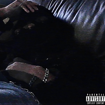 BACK ON TRACK (feat. AiZack) - Single