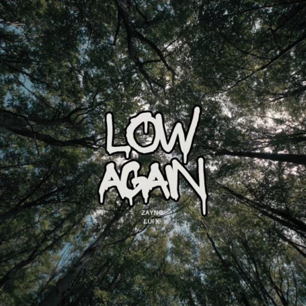 Low Again (feat. Lui X)