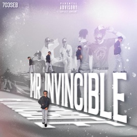 Mr. Invincible 703SEB